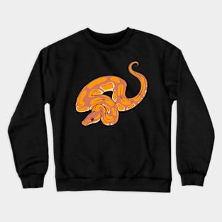 Sunset Ball Python Crewneck Sweatshirt